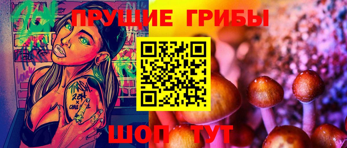 Псилоцибиновые грибы GOLDEN TEACHER Прокопьевск